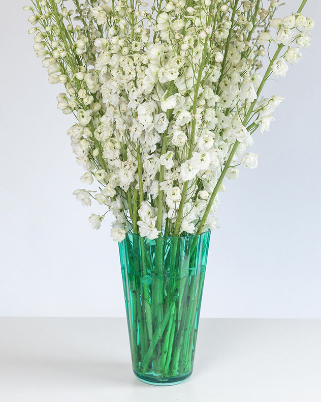 Welcome to our new series: Flower Class