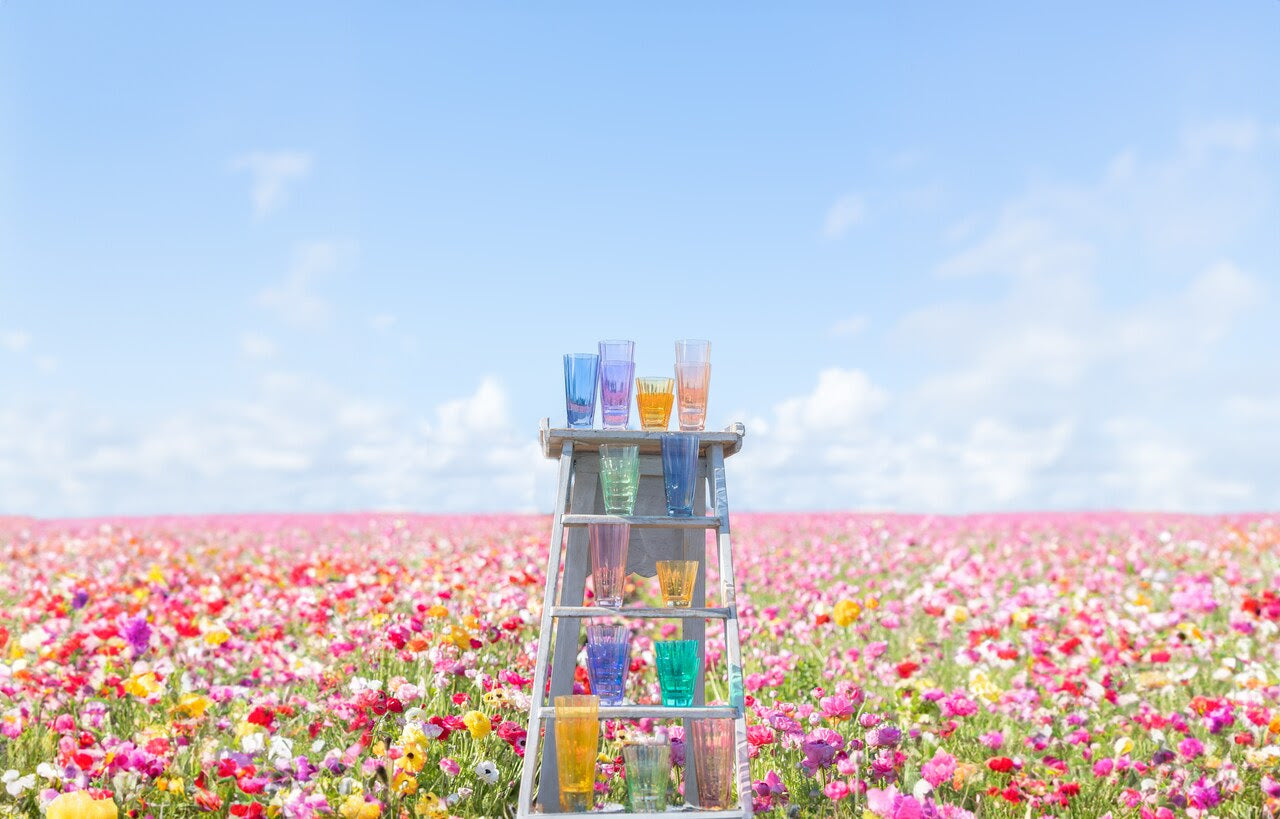 Radiance of Blooms: Estelle Sunday Collection